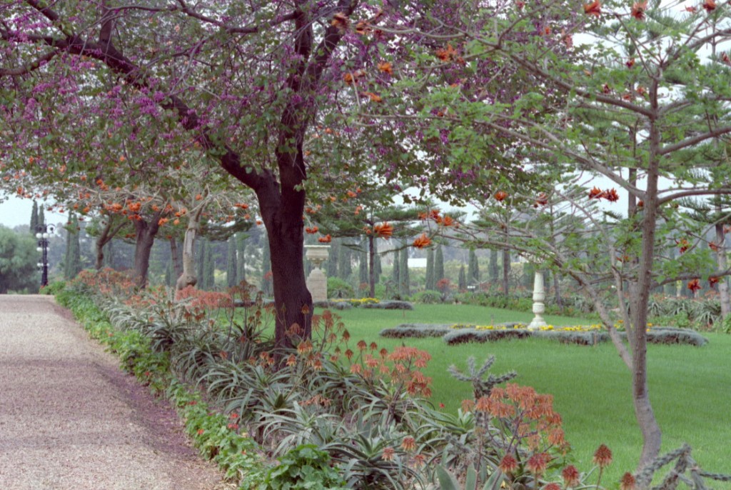 The garden at Bahji The garden at Bahji